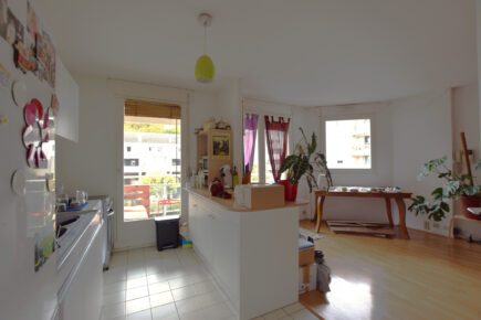 Grenoble T2 56m2 balcon garage