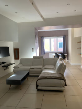 T1 BIS -CENTRE VOIRON- 48M2