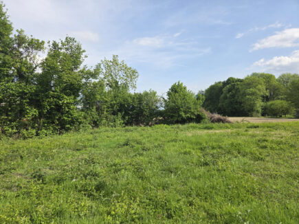 SAINT-JEAN-DE-MOIRANS, terrain constructible